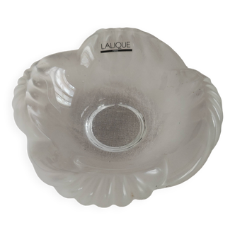 Aruba Lalique pocket emptier