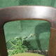 Pair of 70s chairs by designer Bruno Rey in wood and green fabric