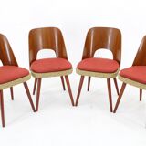1960s Oswald Haerdtl ,Set of 4 Dining Chairs by TON, Czechoslovakia
