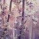 Animated landscape painting oil on canvas signed