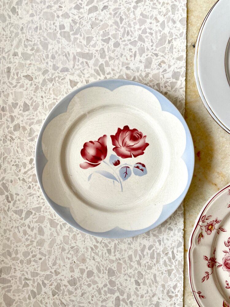 6 floral ceramic plates
