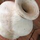 Authentic Tamegroute pottery vase