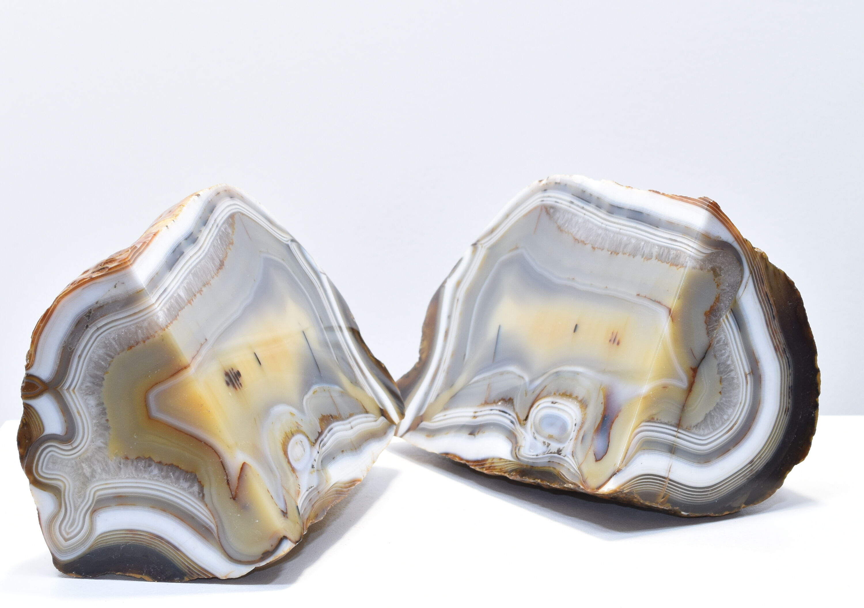 Agate polished greenhouse mineral book