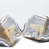 Agate polished greenhouse mineral book
