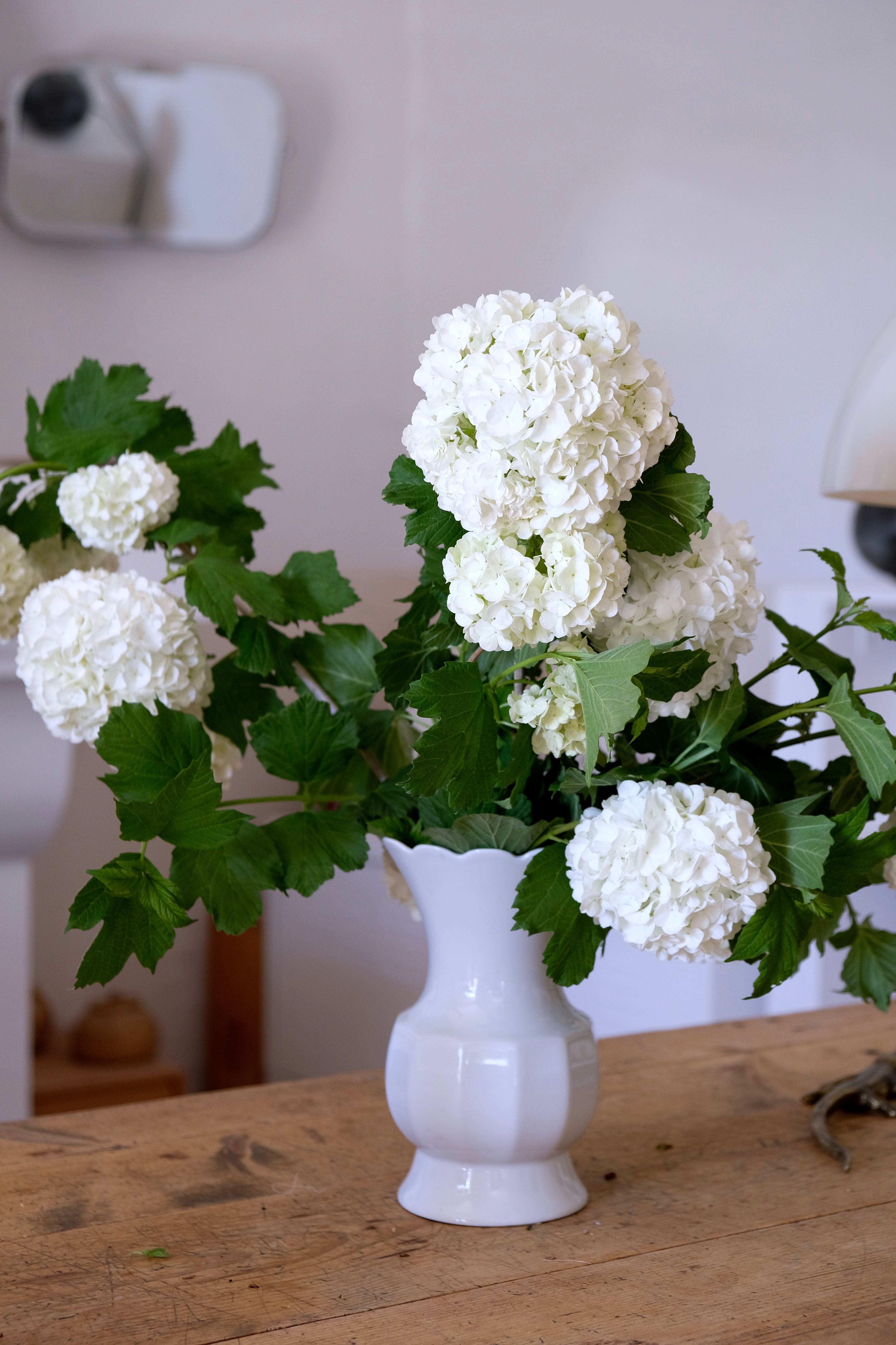 White vase Bareuther Waldsassen 50s