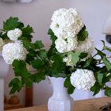 White vase Bareuther Waldsassen 50s