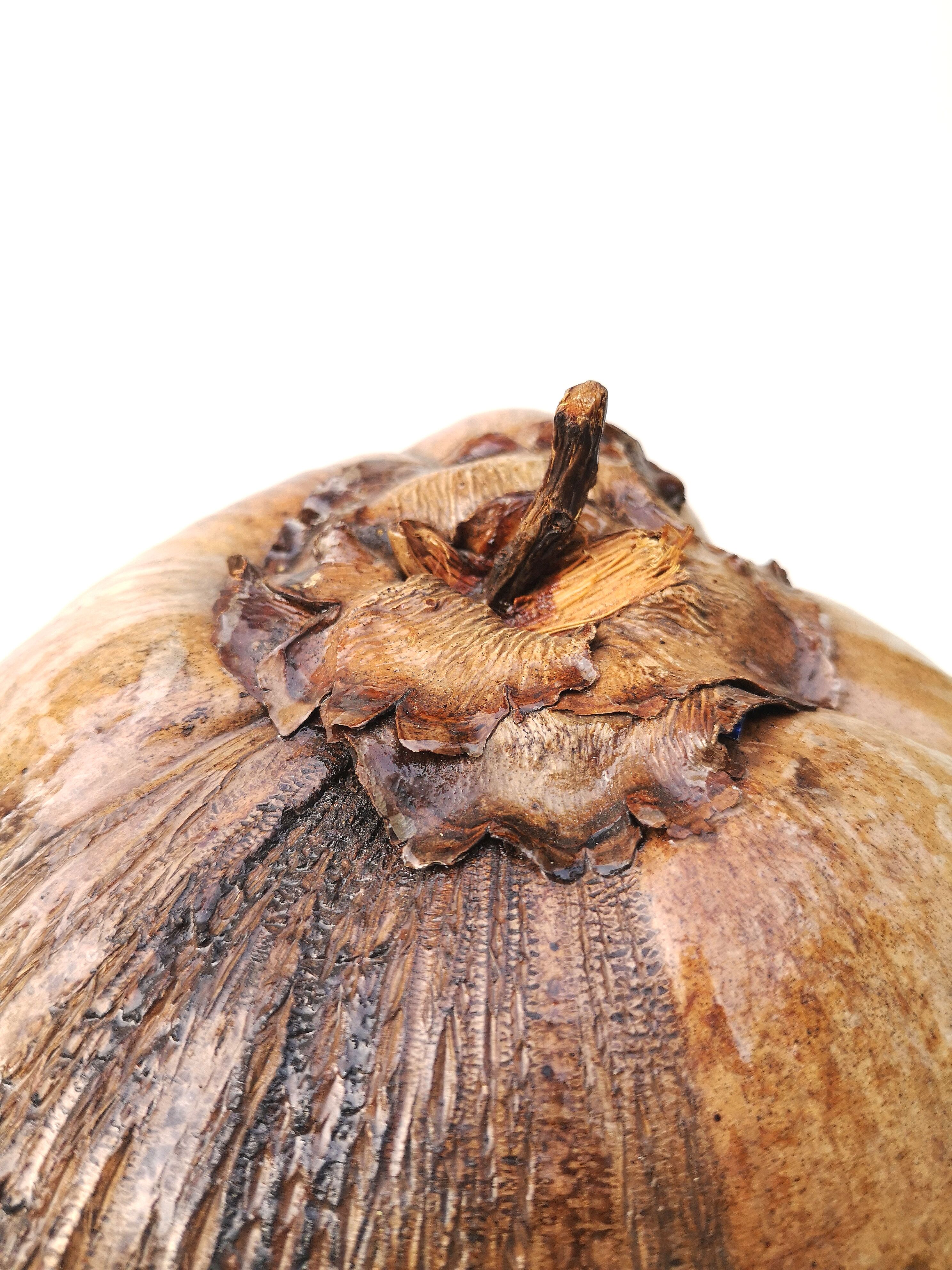 Empty vintage pocket - natural coconut