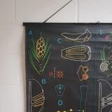 Vintage school poster by Paul Sougy - Le Pin, 1952