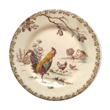 Very rare polychrome plate Iron Earth signed GIEN, model COQS