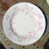 Iron earth dessert plates