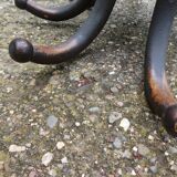 Parrot coat holder in curved wood - Art Nouveau
