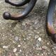 Parrot coat holder in curved wood - Art Nouveau