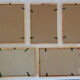 5 framed antique bird engravings