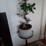 Healed tripode in wood and white marble