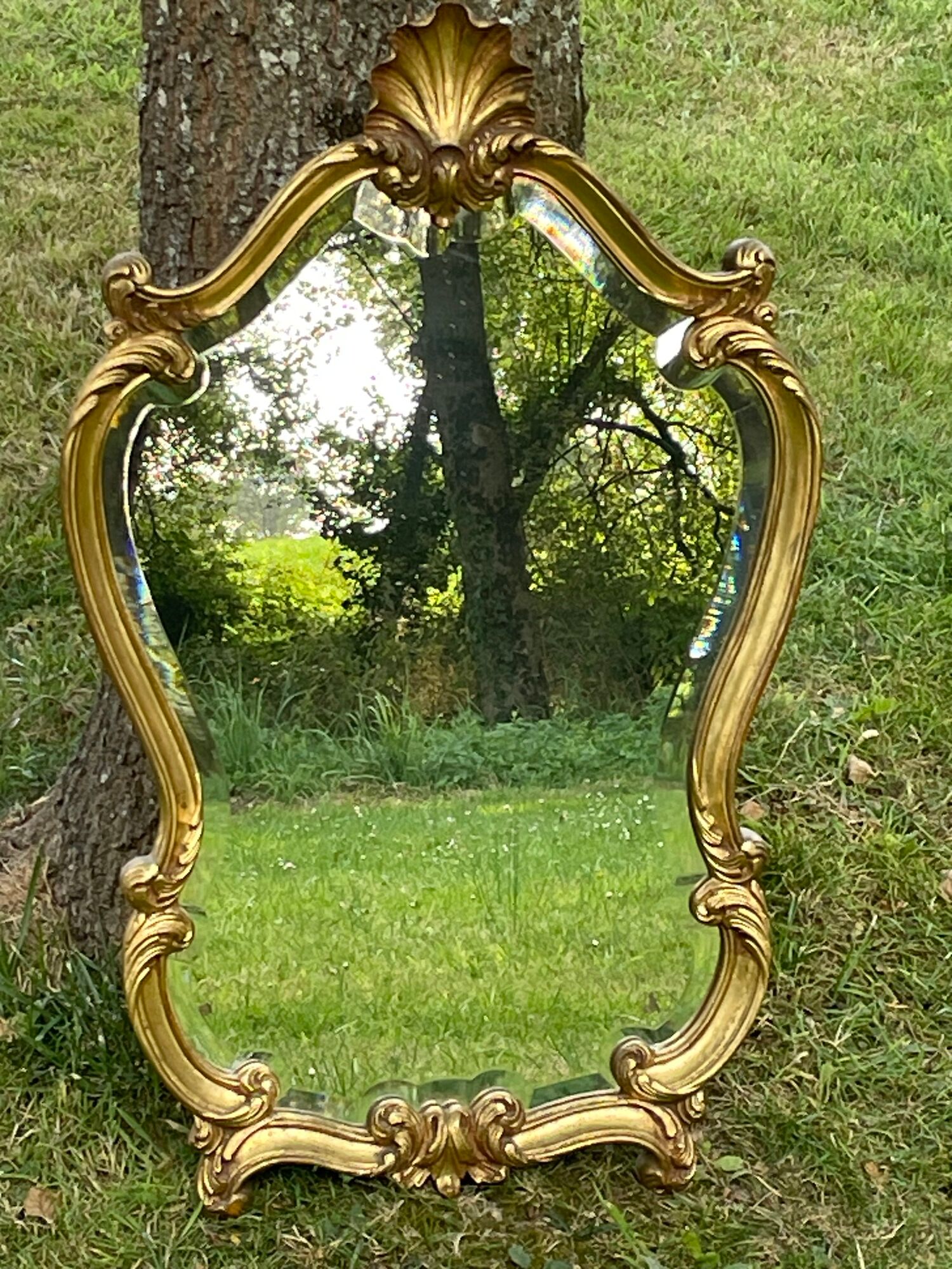 Beveled gilded wood mirror with violin shapes, Louis XV baroque style shell
