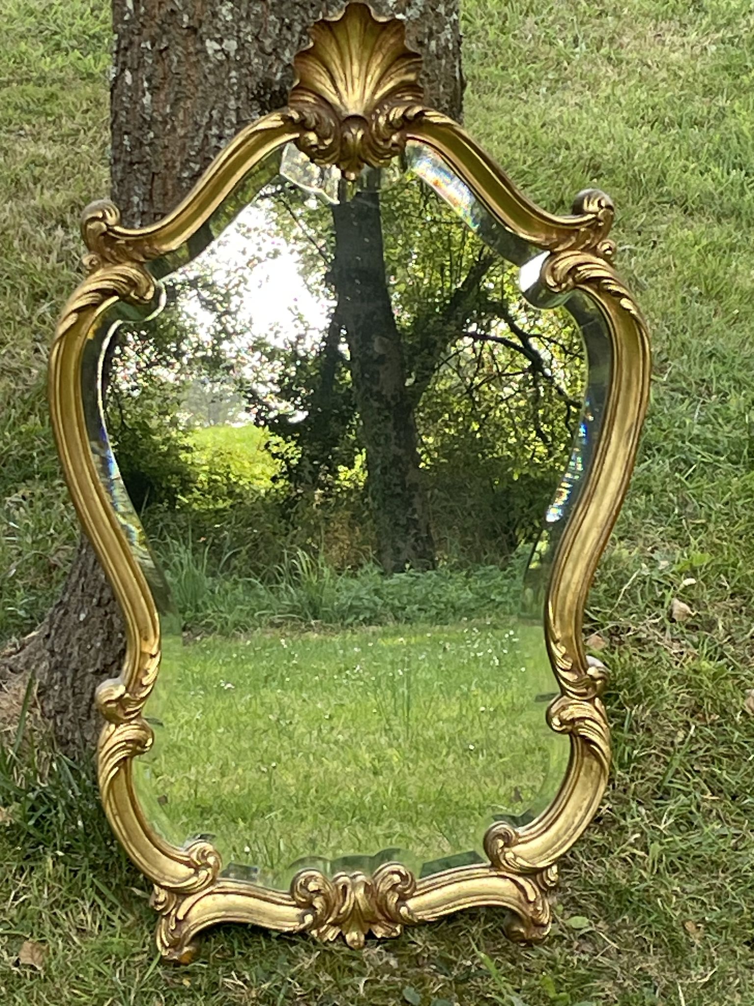 Beveled gilded wood mirror with violin shapes, Louis XV baroque style shell