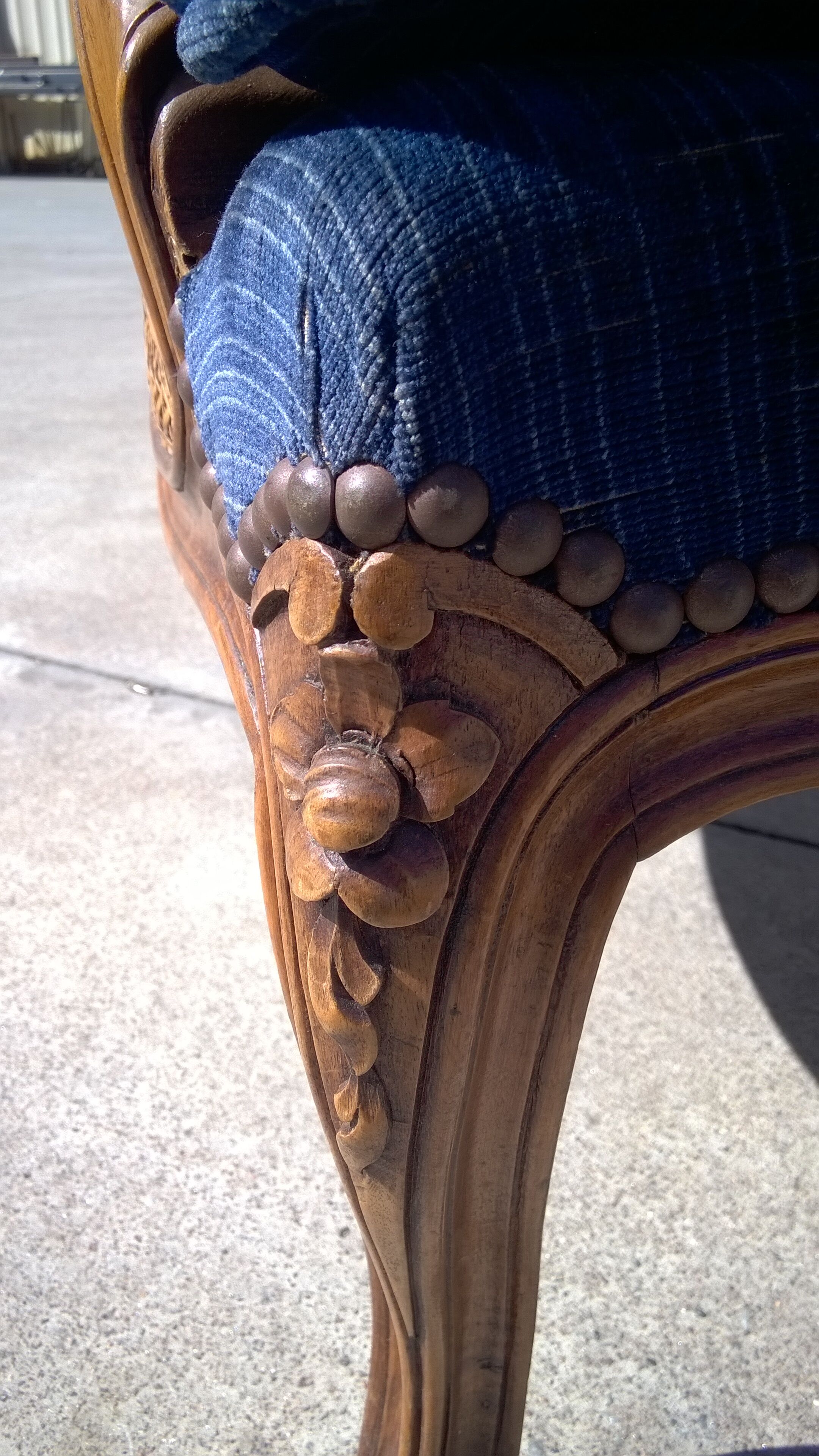 Shepherdess Louis CV cannée