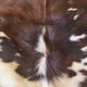 Genuine leather rug – Natural leather