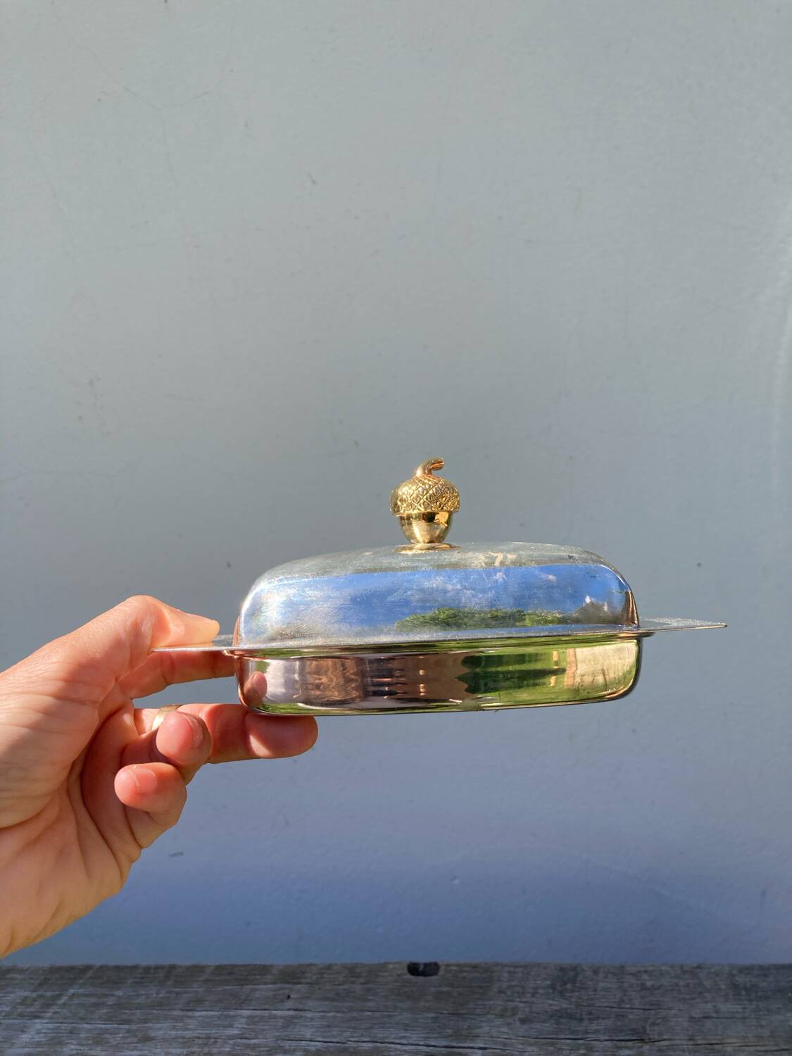 Acorn silver metal butter dish