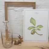 Botanical plank Walnut