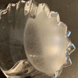 Empty crystal pocket in the shape of a shell