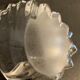 Empty crystal pocket in the shape of a shell