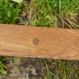 Coatrack wood 6 hooks industrial or school