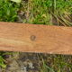 Coatrack wood 6 hooks industrial or school