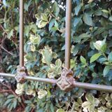 Napoleon III iron headboard L127xH144