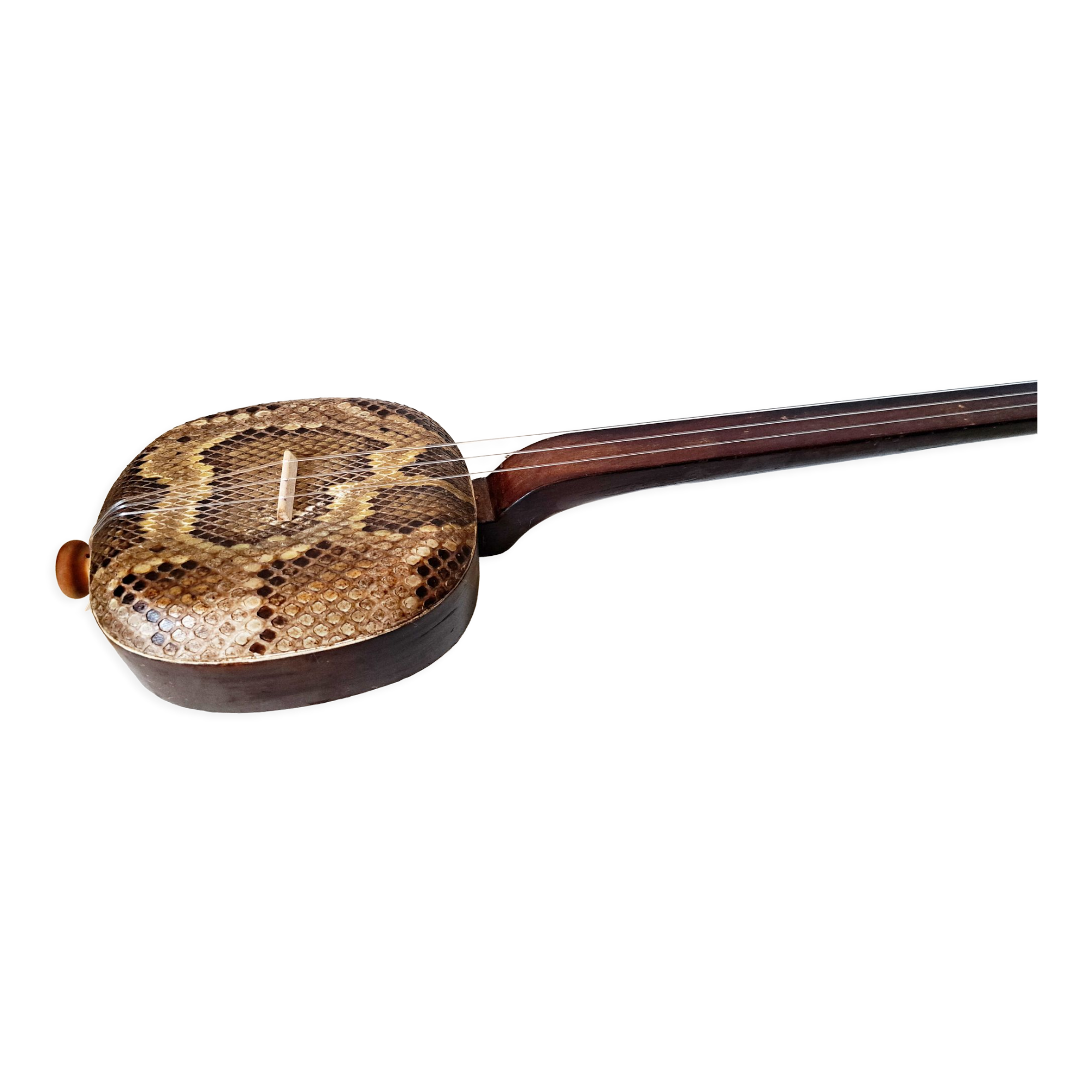 Okinawa shamisen sanshi traditional japanese instrument
