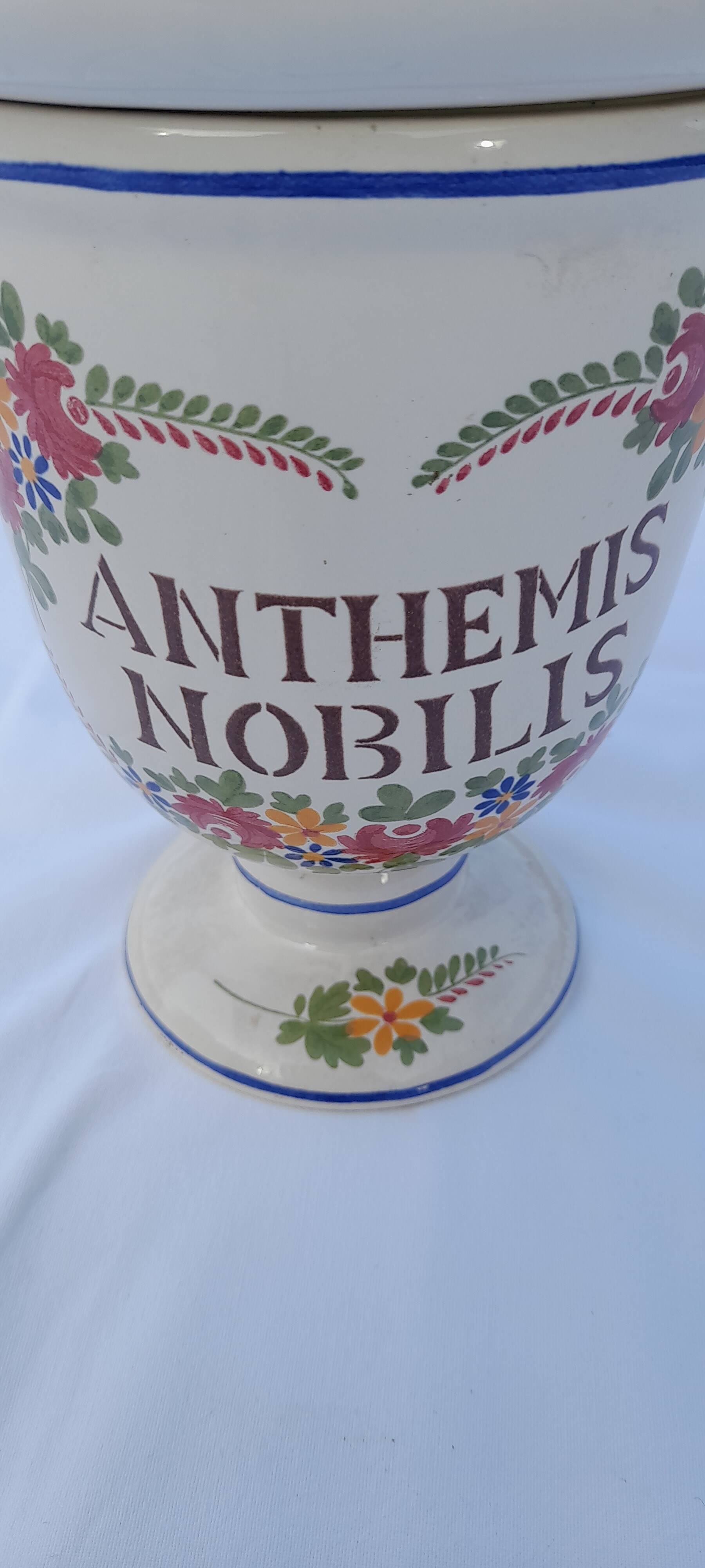 Anthemis nobilis pharmacy apothecary pot in earthenware from Saint Clément PDH