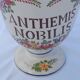 Anthemis nobilis pharmacy apothecary pot in earthenware from Saint Clément PDH