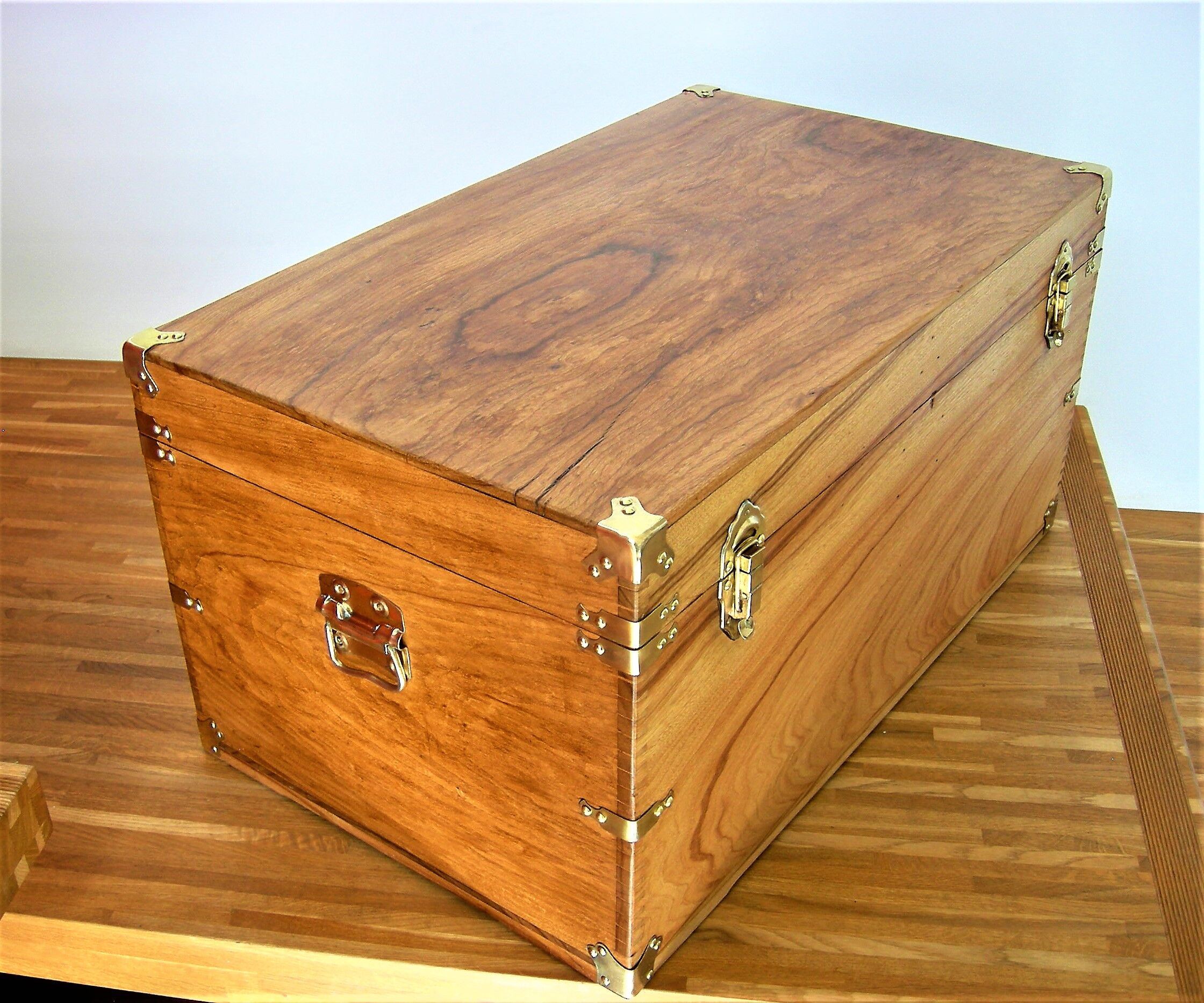 Trunk or Navy in the 19th camphor trunk