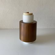 Opal Glass and Copper Plated Flush Mount Light by Staff, 1960s, Germany