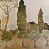 Signed watercolor painting “olive tree field in Provence”