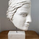 Greek woman's head in plaster