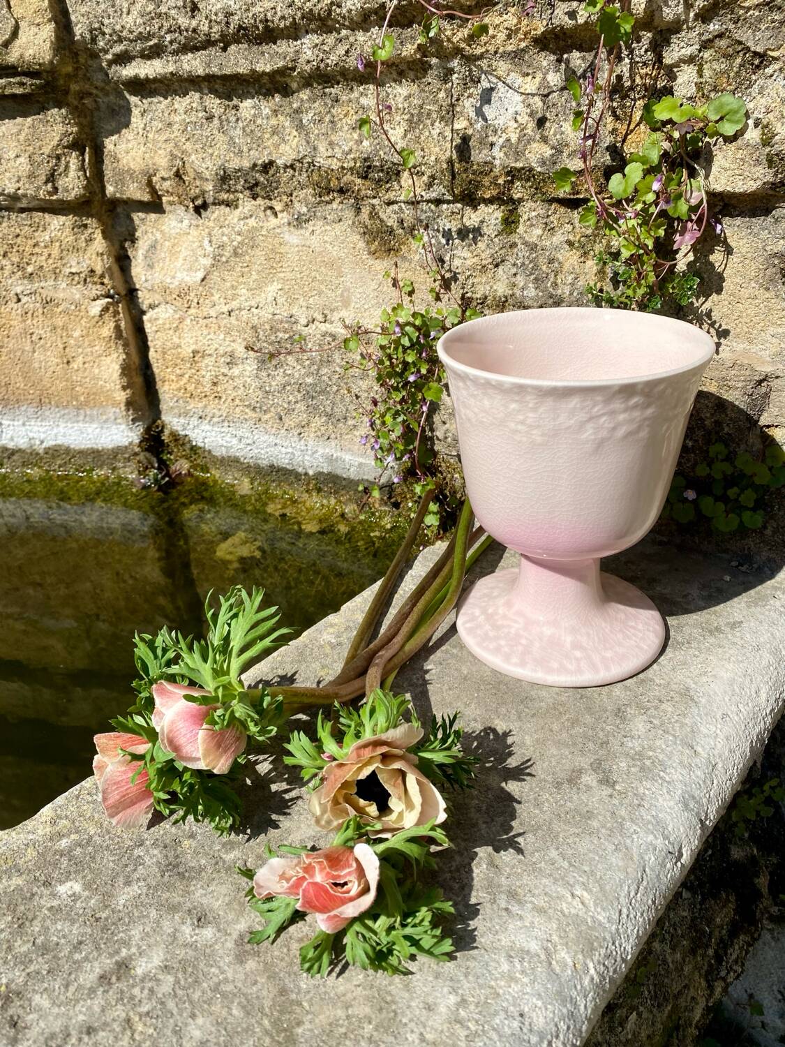 Powder pink vase cup