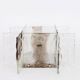 Glass wall sconce designed by Carlo Nason for Kalmar, 1960s.