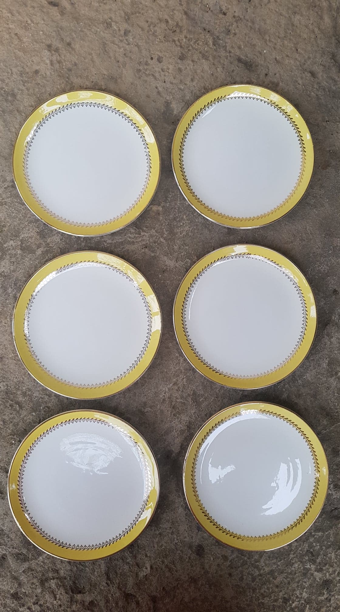 Lot de 6 assiettes Biarritz