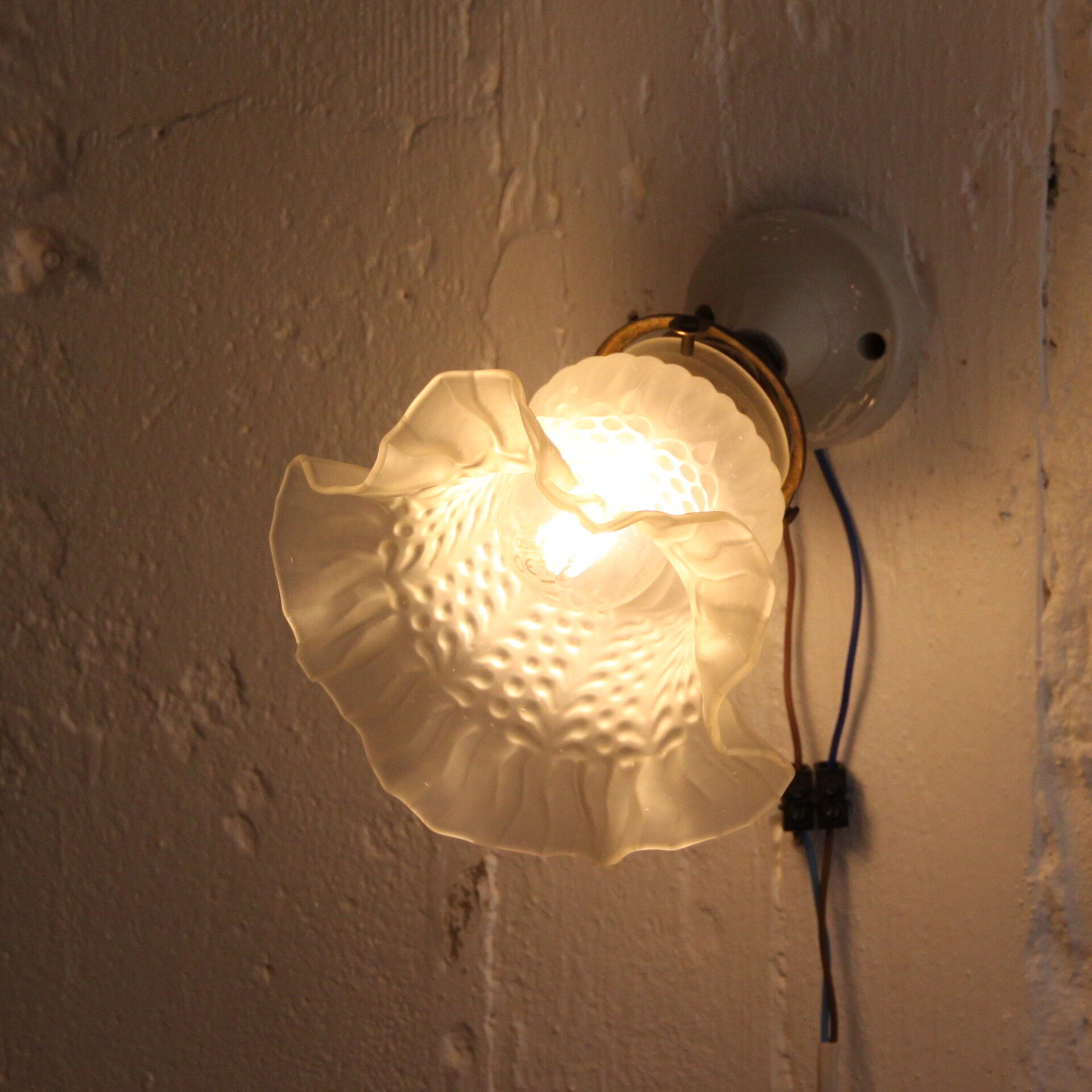 Old wall mural support porcelain tulip glass