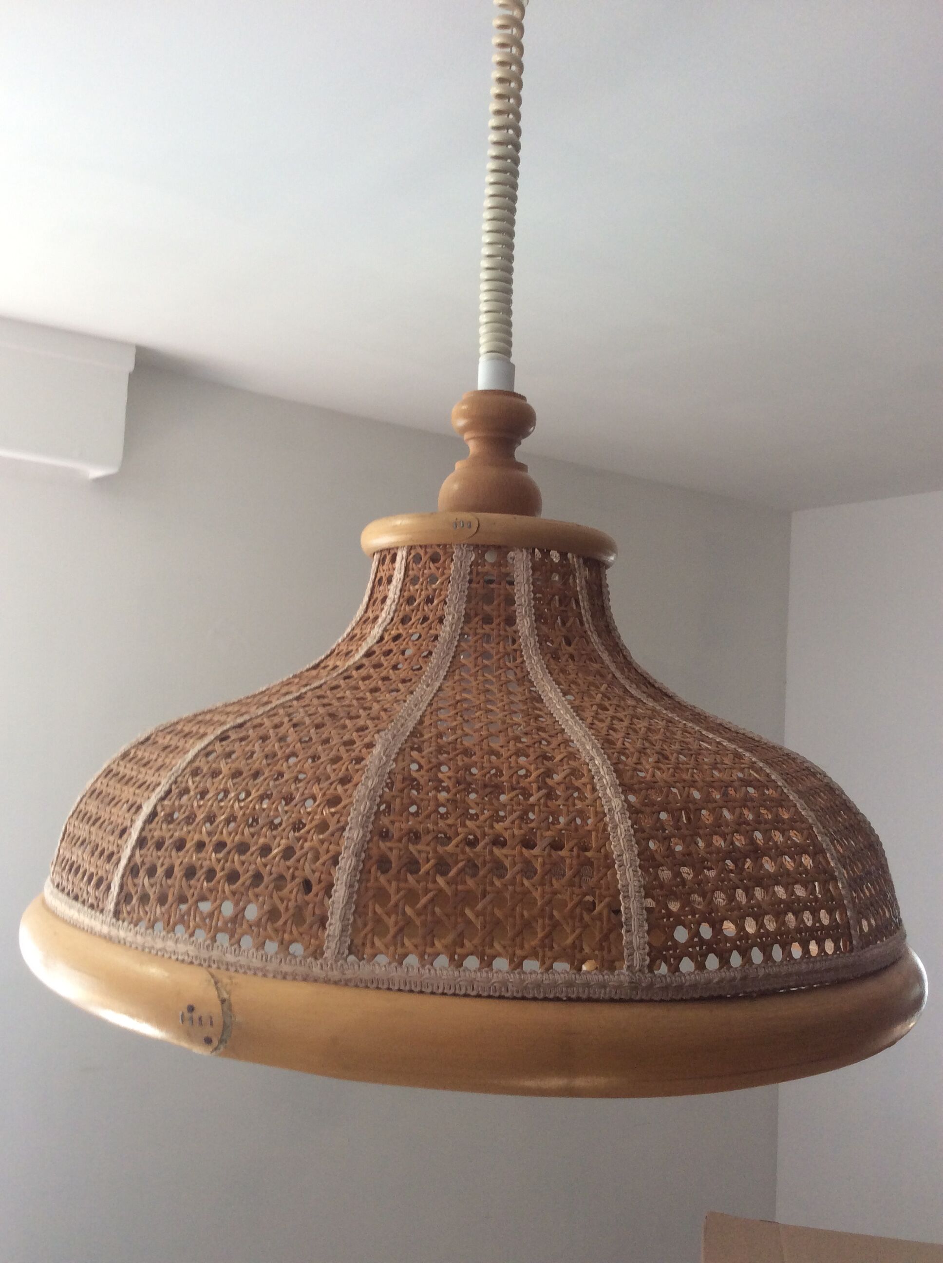 Vintage canning and rattan hagning lamp from the 1970s
