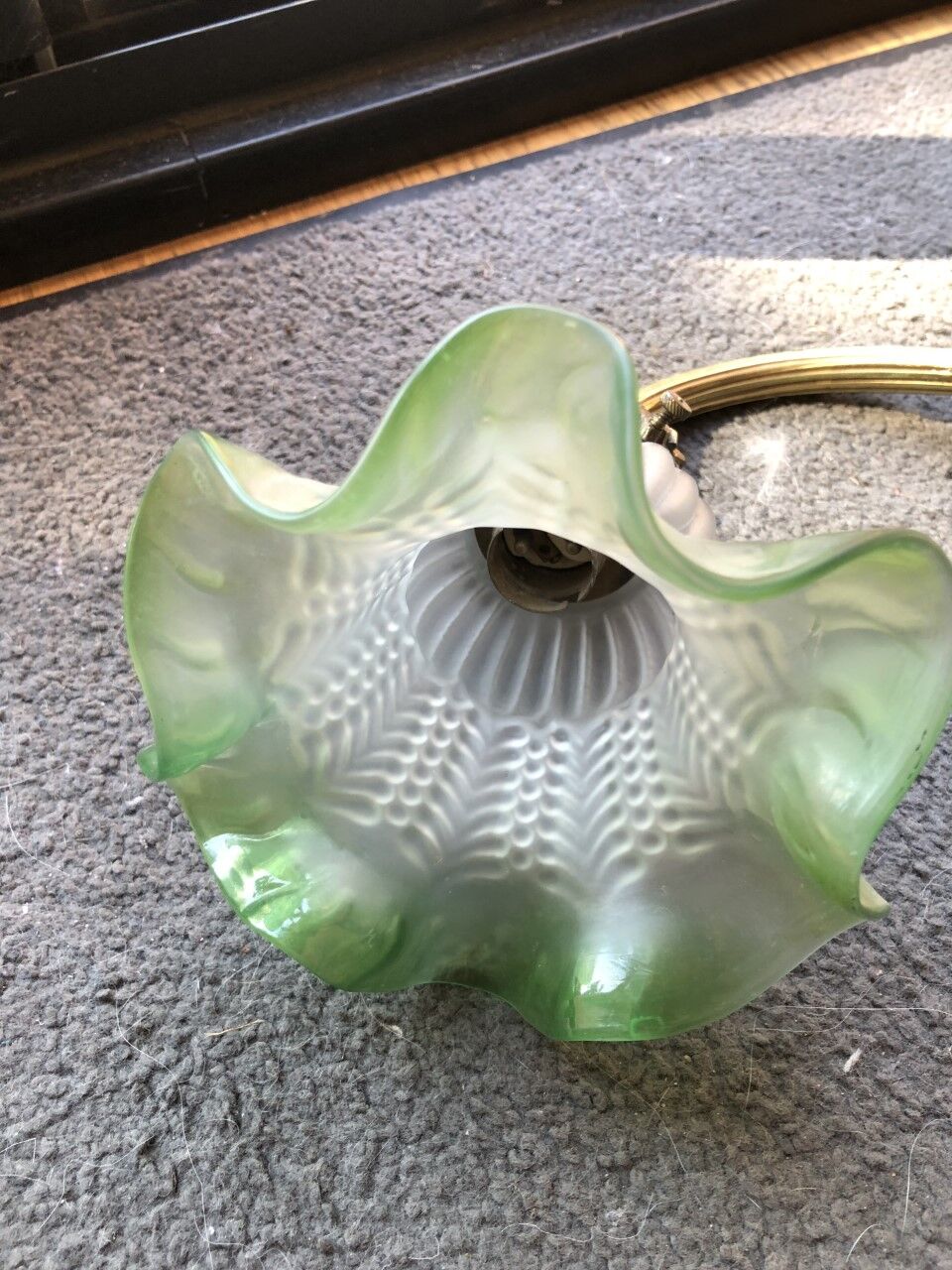 Ancient tulip applied