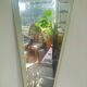 Large vintage rearview mirror from the 50s/60s