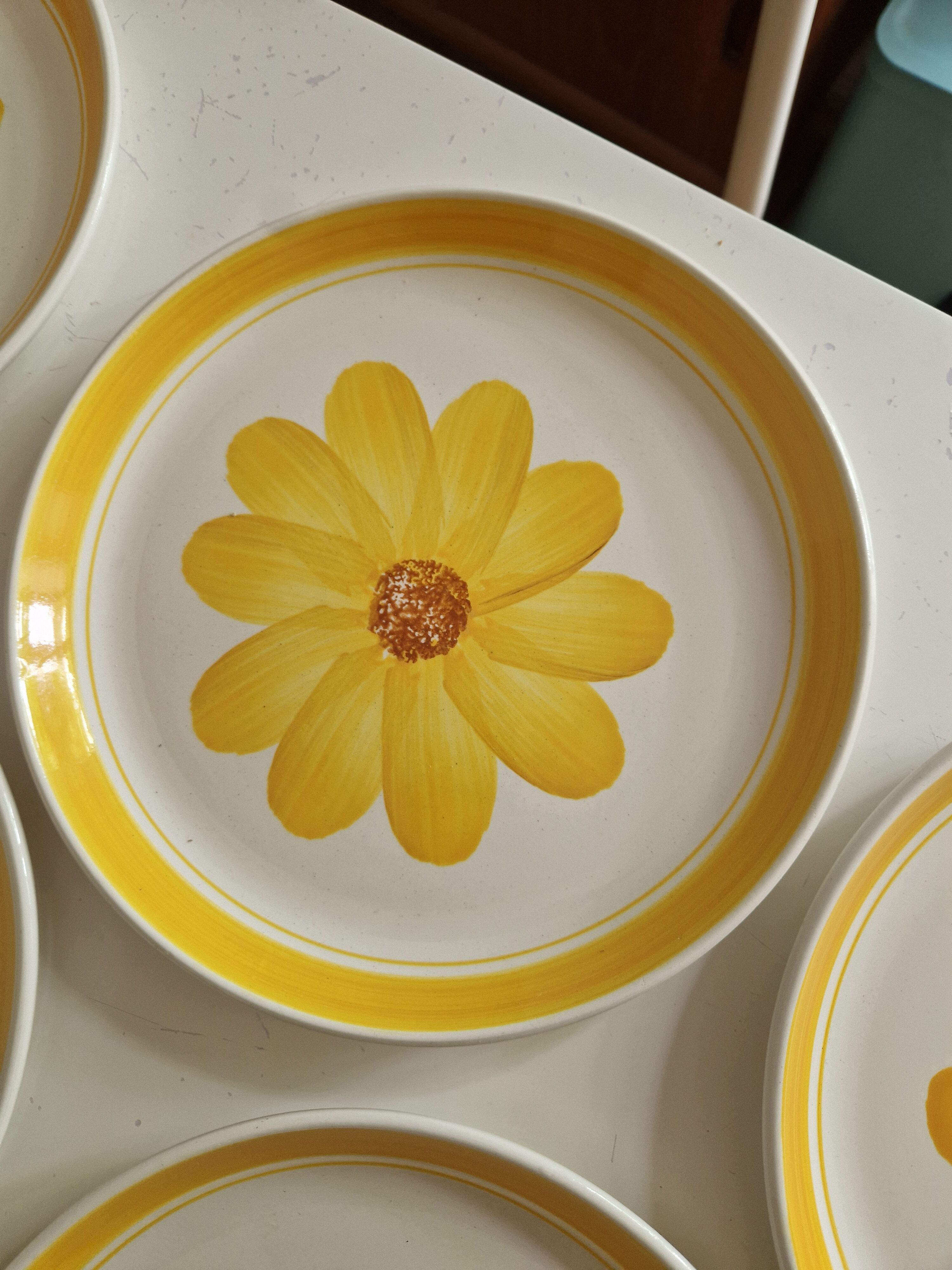 Set of 10 Flat Plates Sarreguemines Model Roseline