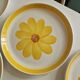 Set of 10 Flat Plates Sarreguemines Model Roseline