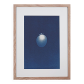 Cyanotype