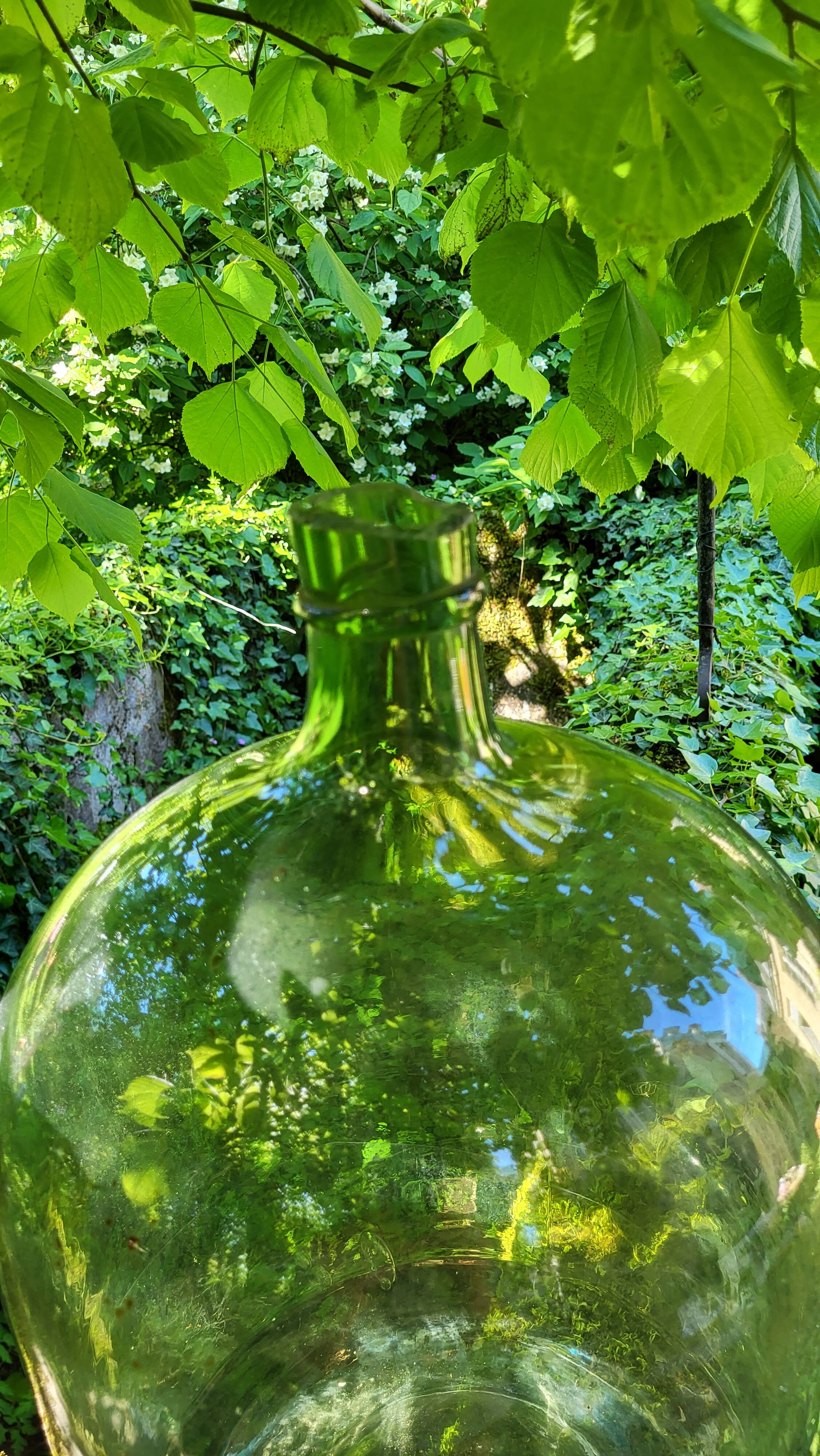 Lady Jeanne / 22 L carboy
