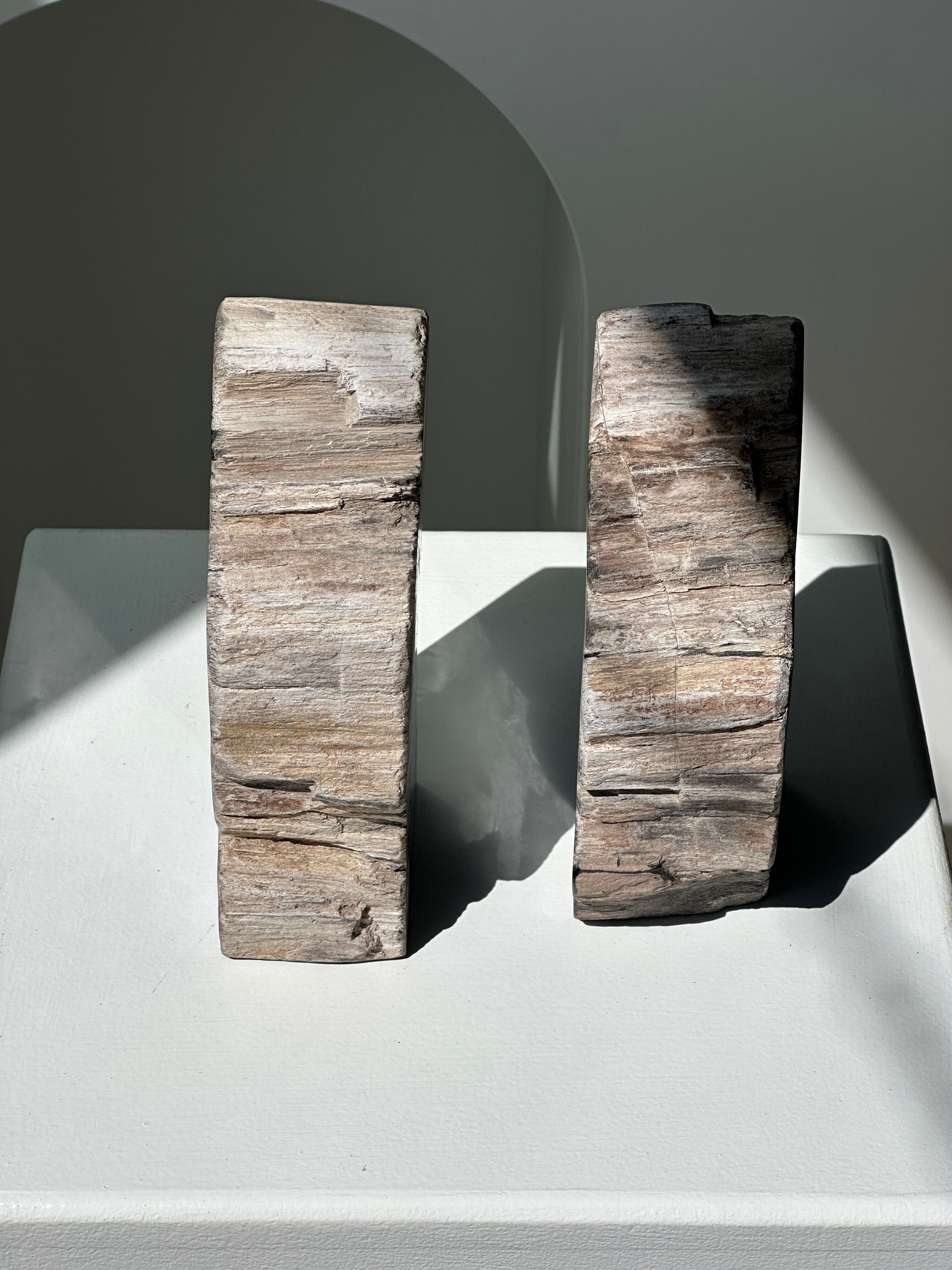 Black petrified wood bookend H17 L17 P6