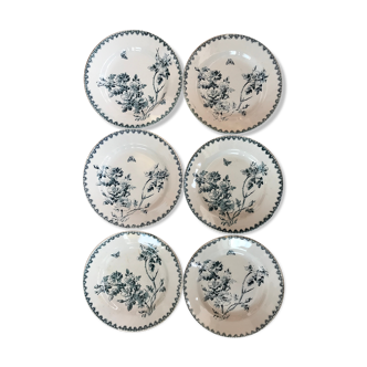 Old plates