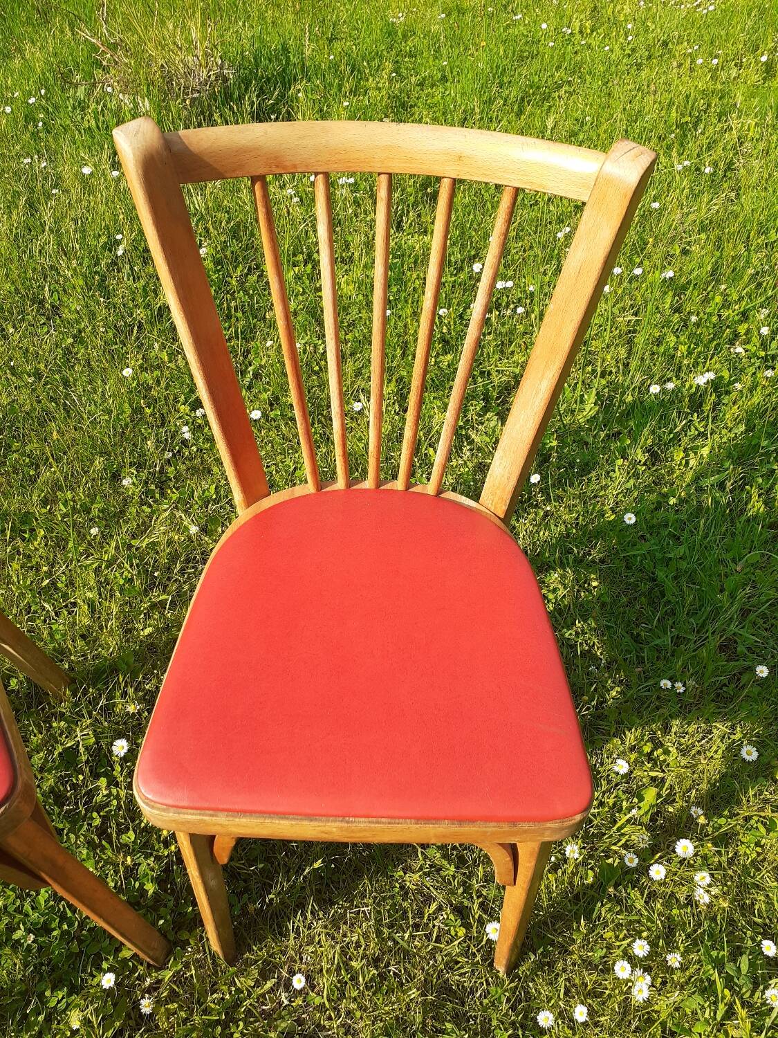 Paire de chaises Baumann n°12